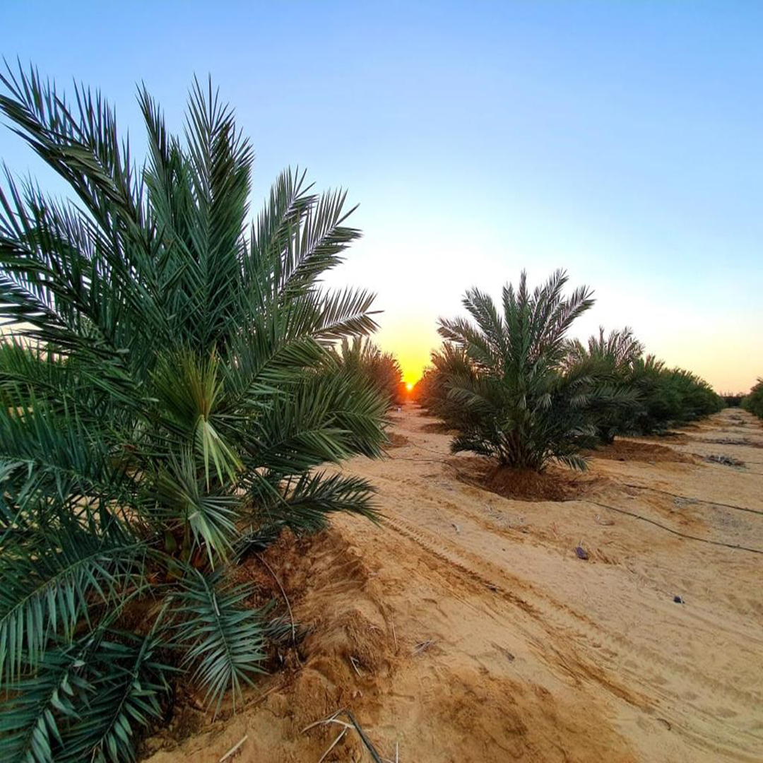 0a1ecb44-4eff-4985-817c-1882334b90f9