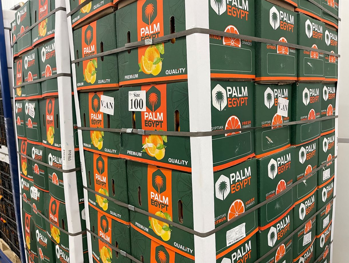 Oranges · Palm Egypt