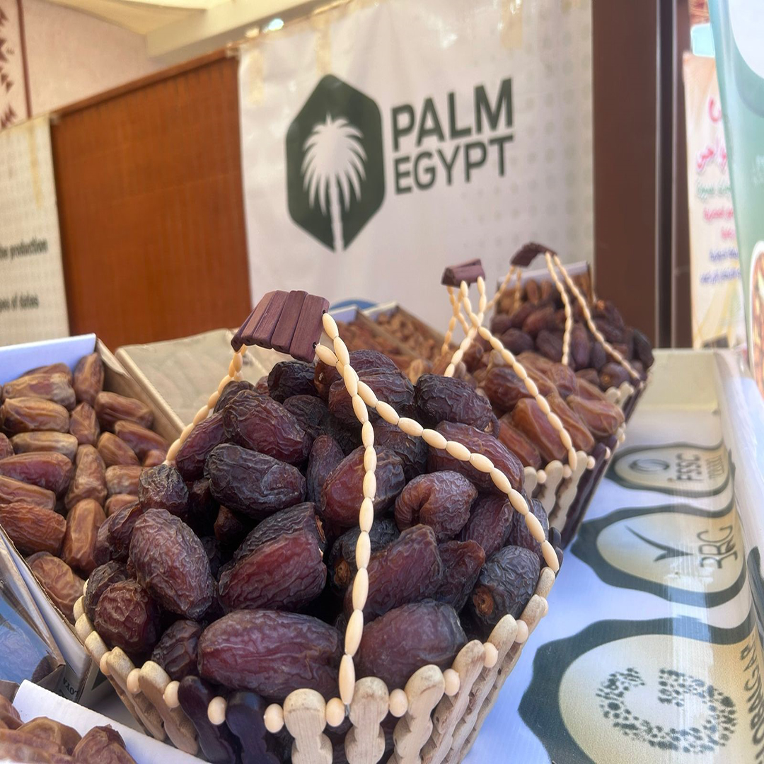 4397e38d-e0ed-4bcd-9eec-0e69321f9c69