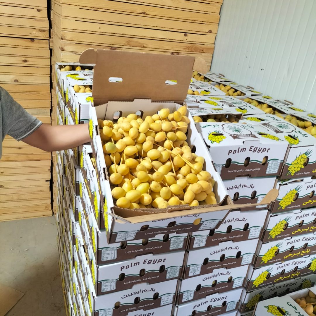 WhatsApp Image 2024-05-29 at 1.42.11 PM WhatsApp Image 2024-05-29 at 1.42.11 PM