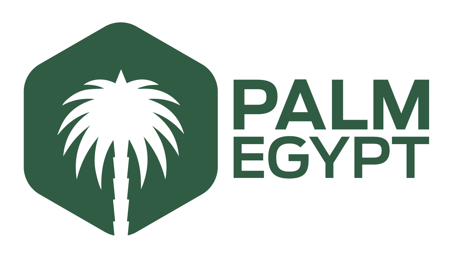 Palm Egypt