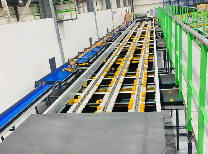 210-2-e1761570112344 copy