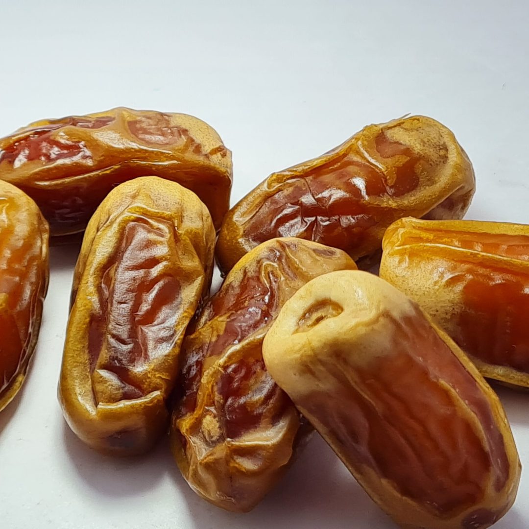 Sugai-Regular-3-scaled