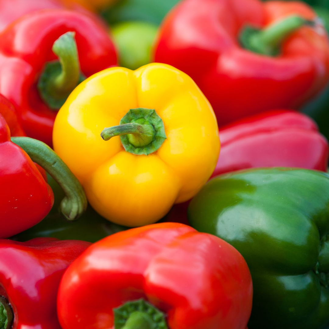 GREEN SPUC3 GREEN SPUC3