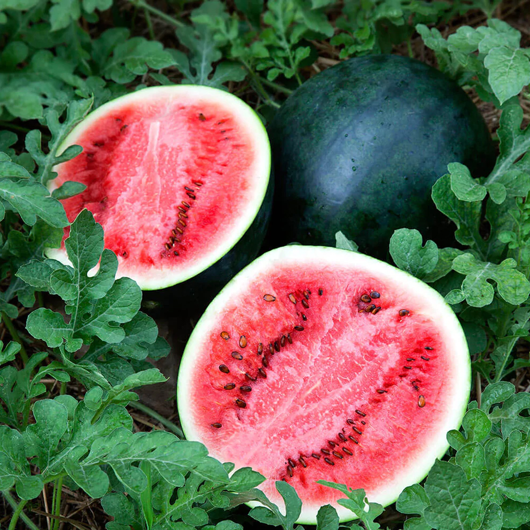GREEN WATERMELON1