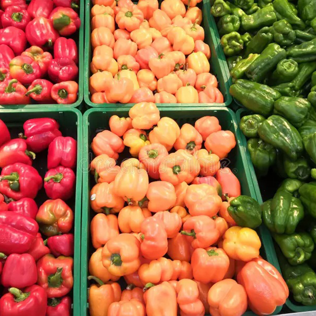 Untitled-1لعت Untitled-1لعت